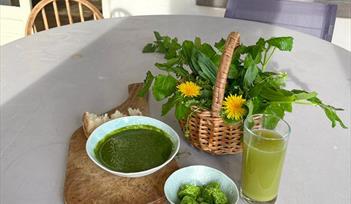 Wild Food Forage and Feast - Cleansing Spring Greens