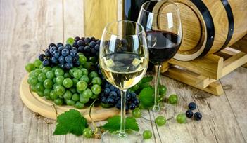 Wine Tasting at Manor Hotel