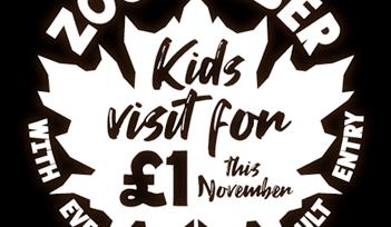 Kids visit Paignton Zoo for £1 this November
