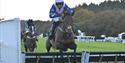 Racing at Exeter Racecourse