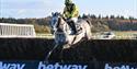 Elixir De Nutz at Exeter Racecourse