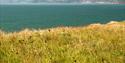 View from Orcombe Point, Exmouth