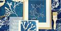 Seaweed Cyanotype Workshop with The Devon Seaweed Company