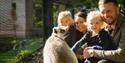 Family in Lemur Wood