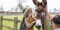 young boy in winter with brown donkey