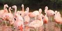Paignton Zoo