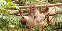 Paignton Zoo