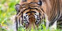 Paignton Zoo