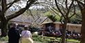Steam train travelling through the gardens at Pecorama
