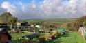 Loddiswell Allotments