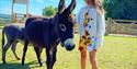 Pennywell, Donkeys and Girl In Miniature Donkey Paddock