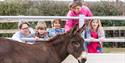 The Donkey Sanctuary