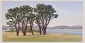 Trees Near Elberry Cove