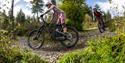 Cycling at Haldon Forest Park