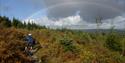 Mountain biking at Haldon Forest Trail