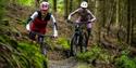 Discover Haldon Forest Park on two wheels