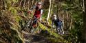 Technical mountain bike trails at Haldon Forest Park