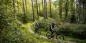 Cycling trails for all abilities at Haldon Forest Park