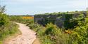 Berry Head Fort