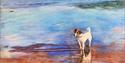 Bodhi on the Beach