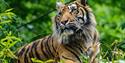 Paignton Zoo