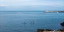 Brixham Paddleboarders, Devon