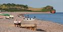 People of Budleigh Salterton Beach