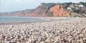 Angled image of Budleigh Salterton Beach