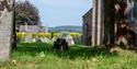 Chagford Church and Cemetery