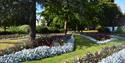 Flowers in Courtenay Park