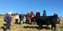 Dittiscombe Rewilding Group