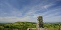 Dartmoor Bowermans Nose