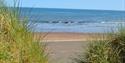 Dawlish Warren Beach, image taken through the bushes