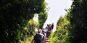 English Riviera Walking Festival
