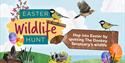 illustrated wildlife with coloured easter eggs set on green hills