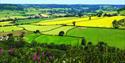 East Devon countryside in the sun