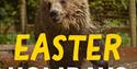 Wildwood Devon Easter Event