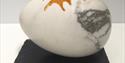 Eggshell No 19