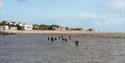 Paddleboarding in Exmouth