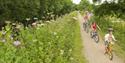 Family cycling on the towpath near Halberton