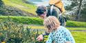 family forage at carswell farm