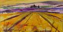 Field of Gold