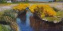 Gorse Along the East Dart