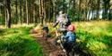 Hire bicycles for the whole family at Haldon Forest Park
