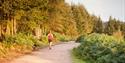 Haldon Forest Park - Forestry Commission - running with dog