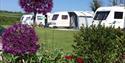 Parkland Caravan, Camping and Glamping Site