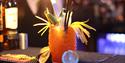 Come and explore the TIKI room experience