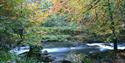 River Erme above Ivybridge, Dartmoor