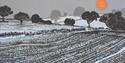 Kate Brooks Winter Fields print