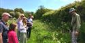 Dittiscombe wildlife walk